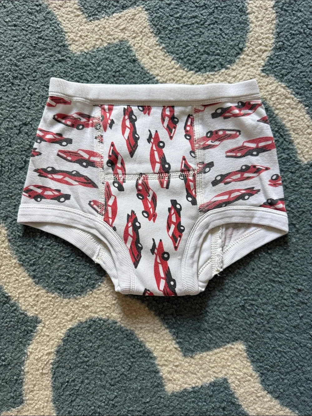 Hanna Andersson Boys Training Briefs Bundle